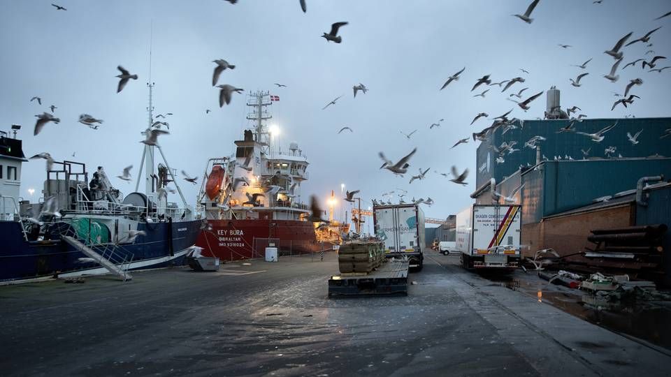 Havnen i Thyborøn. | Foto: Finn Frandsen