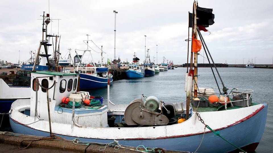 En aftale for fiskeriet i britisk farvand synes at være landet. | Foto: Finn Frandsen/Ritzau Scanpix