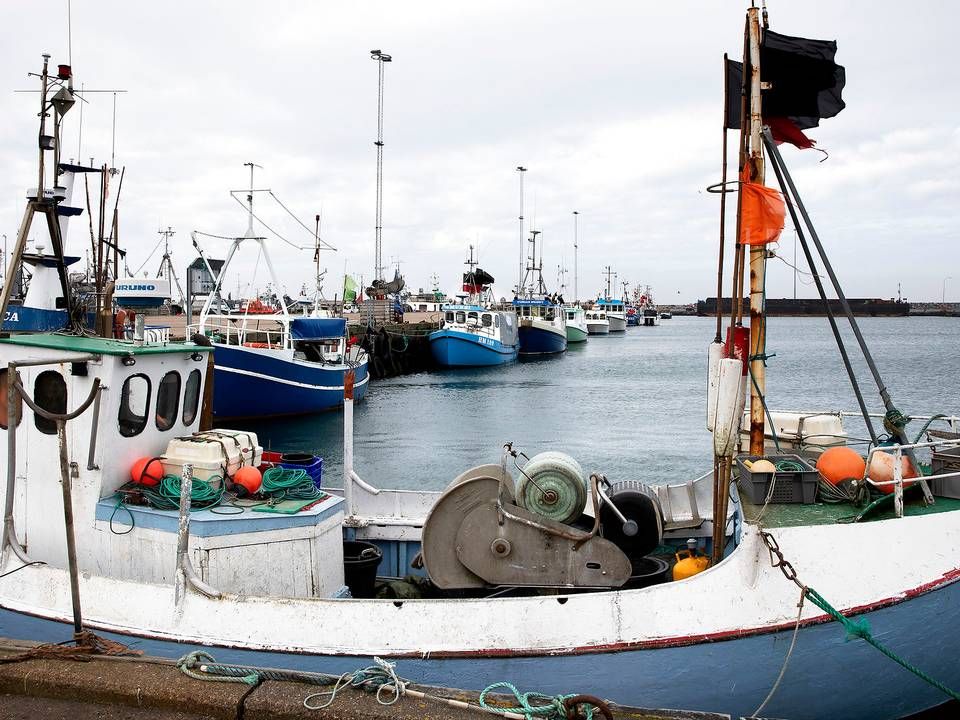 En aftale for fiskeriet i britisk farvand synes at være landet. | Foto: Finn Frandsen/Ritzau Scanpix