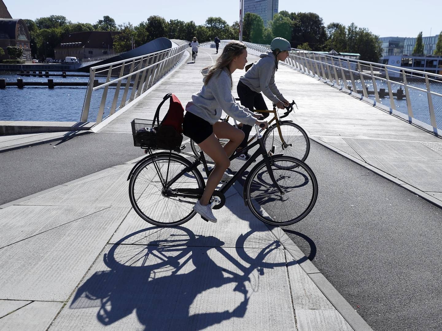 Cykling er blevet mere populært i flere EU-lande under pandemien. Det skal EU drage fordel af, mener flere lande. | Foto: Jens Dresling