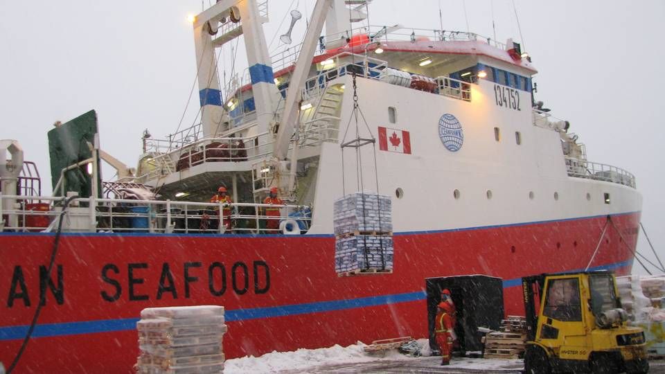 Oecan Prawns' store skibe fisker især rejer i arktisk område ud for Canada. | Foto: PR