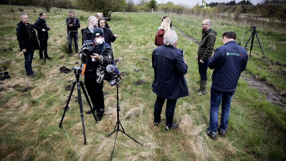 Efter at have begravet millioner af aflivede mink, blev de gravet op igen i maj efter et halvt år i jorden. | Foto: Casper Dalhoff/Ritzau Scanpix