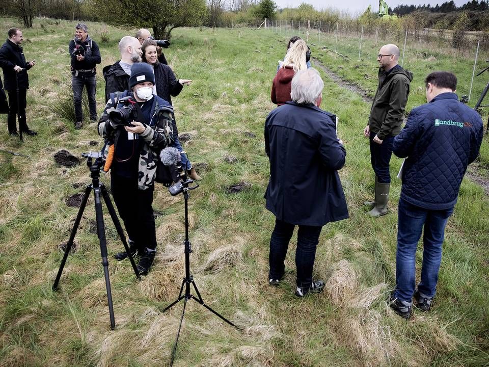 Efter at have begravet millioner af aflivede mink, blev de gravet op igen i maj efter et halvt år i jorden. | Foto: Casper Dalhoff/Ritzau Scanpix