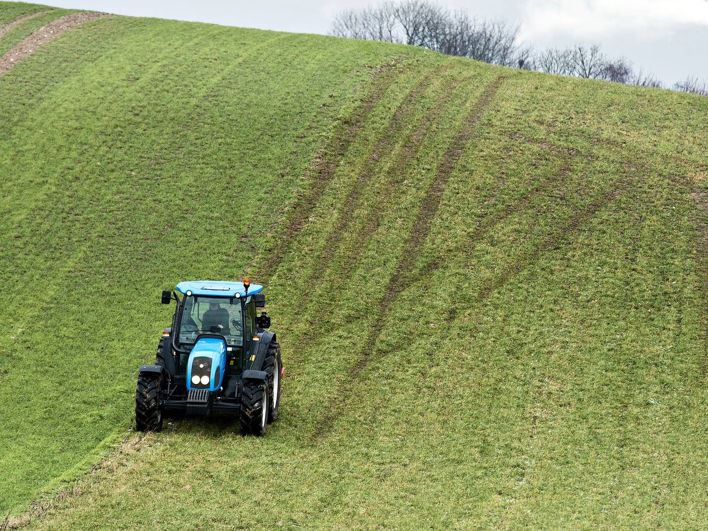 Foto: Lars Krabbe/ERH