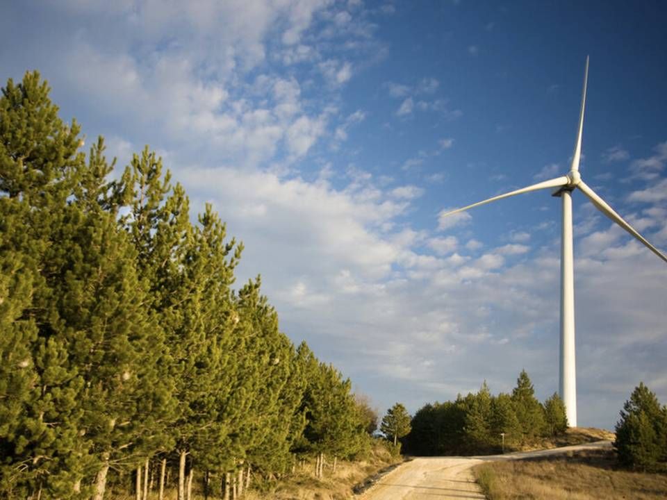 Photo: Forest Wind/iStockphoto