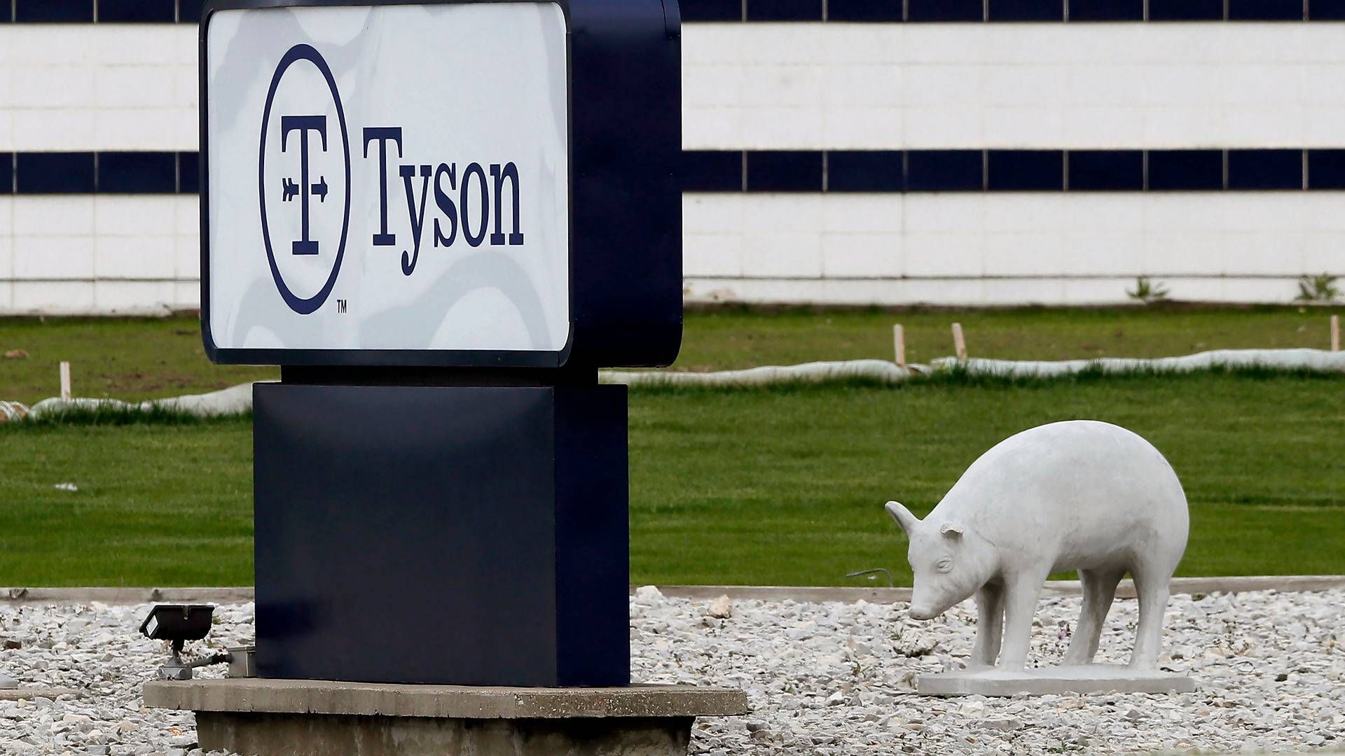 Foto: Charlie Neibergall/AP/Ritzau Scanpix