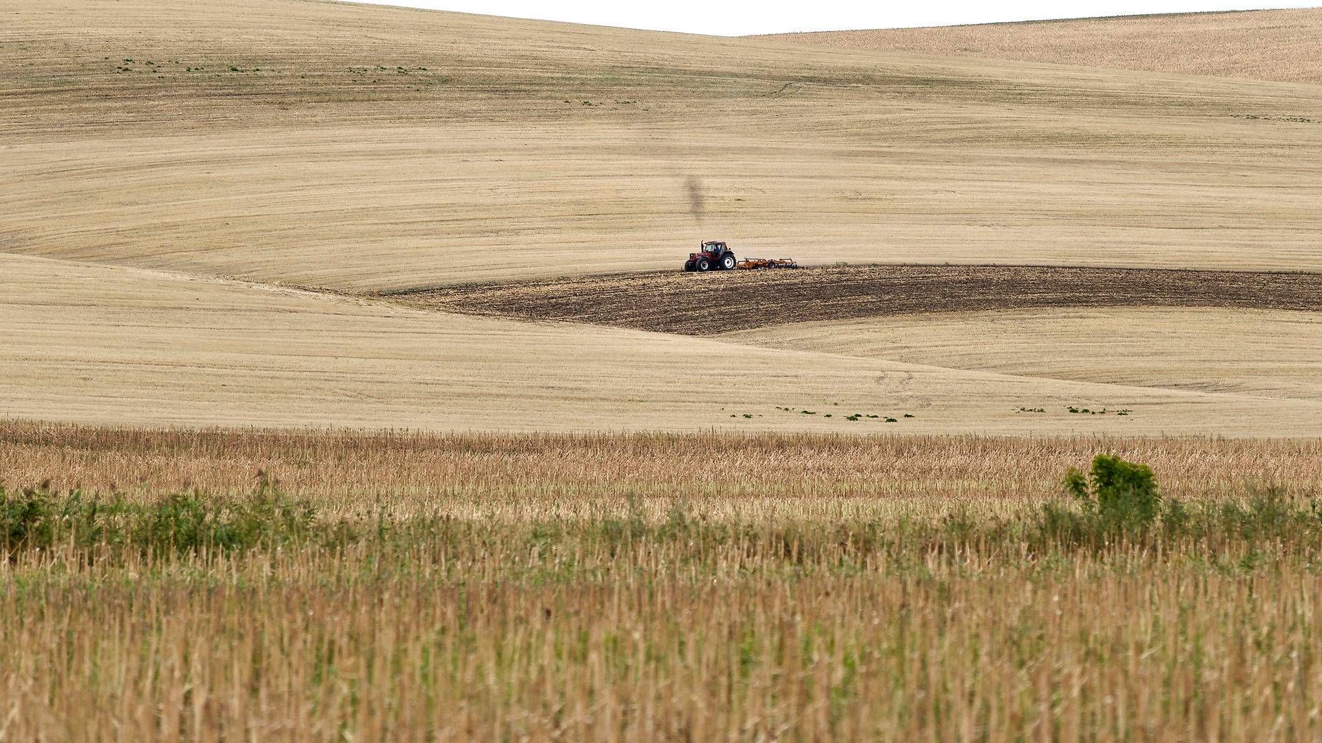 Fotoet er fra 2012, hvor Rumænien også var ramt af tørke. | Foto: Vadim Ghirda/AP/Ritzau Scanpix