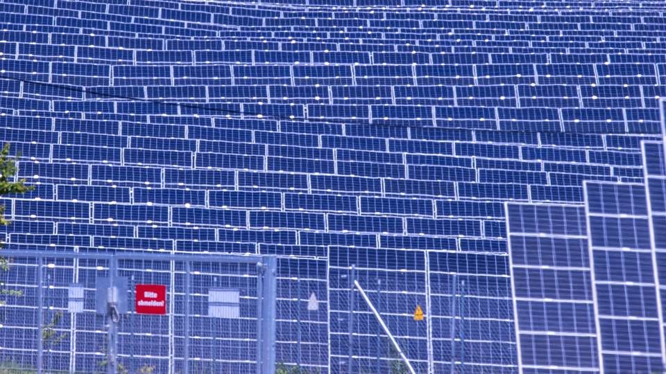 Solarpanele stehen im Photovoltaik-Park des Unternehmens Enerparc, einem Stromlieferanten der Deutschen Bahn | Foto: picture alliance/dpa/dpa-Zentralbild | Jens Büttner