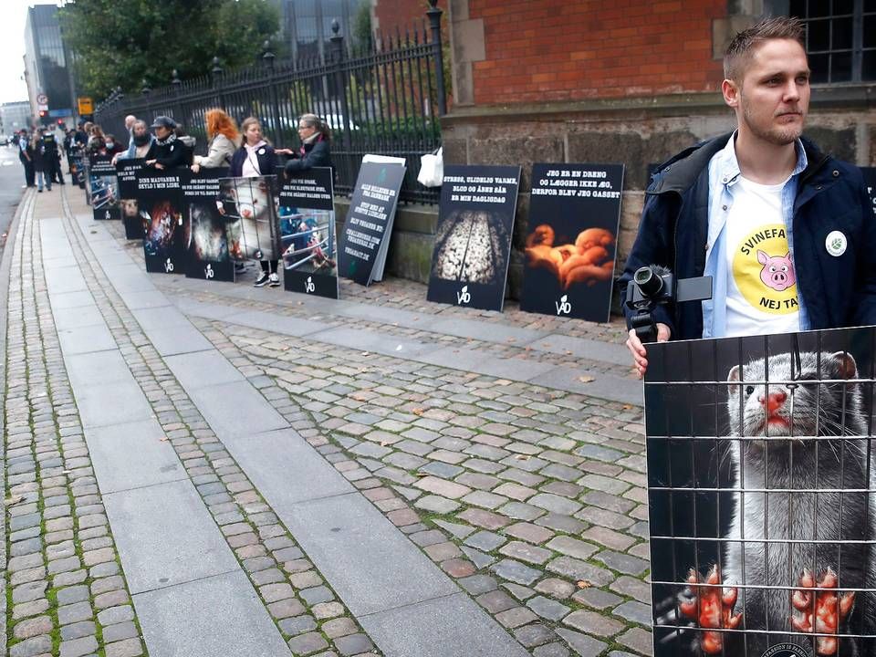 Partileder for Veganerpartiet Henrik Vindfeldt trak sig fredag med øjeblikkelig virkning. | Foto: Jens Dresling/Ritzau Scanpix