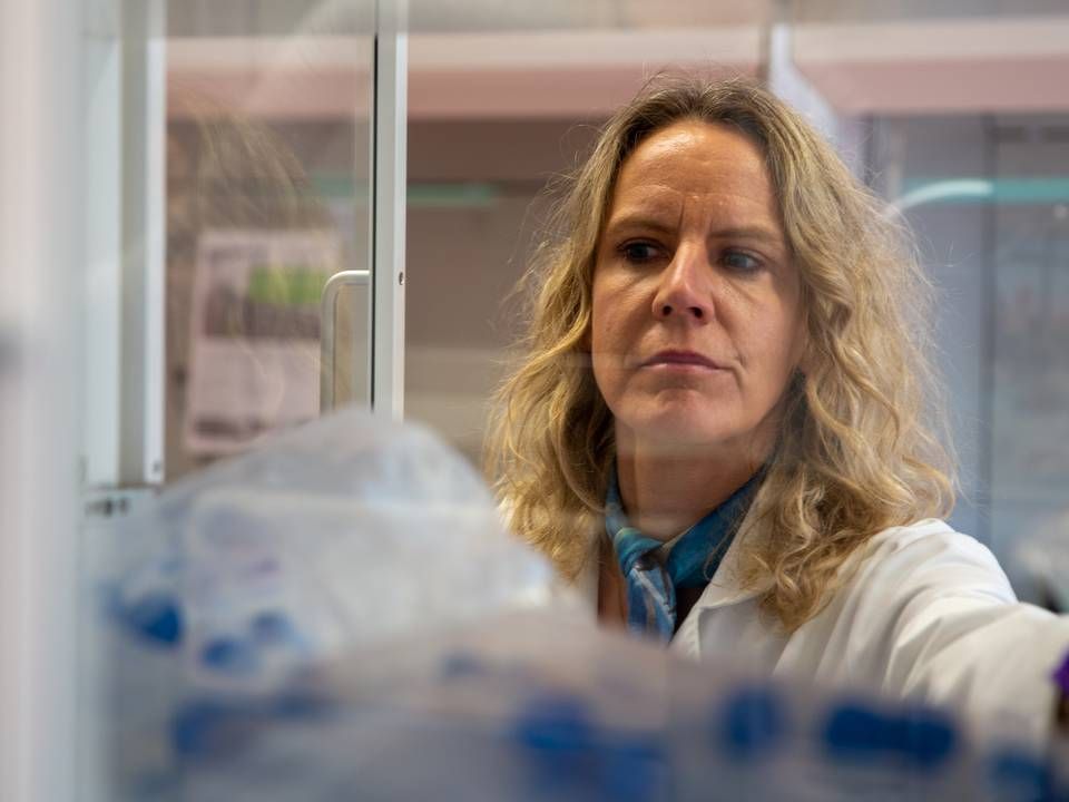 Camilla Foged, professor i vaccine design og levering ved Det Sundhedsvidenskabelige Fakultet på Københavns Universitet. | Foto: Anton Willemann / Københavns Universitet / PR