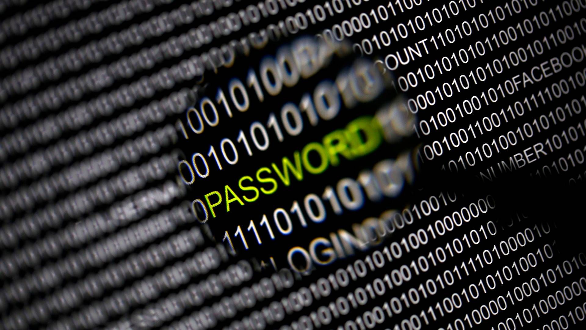 Foto: Pawel Kopczynski/Reuters/Ritzau Scanpix