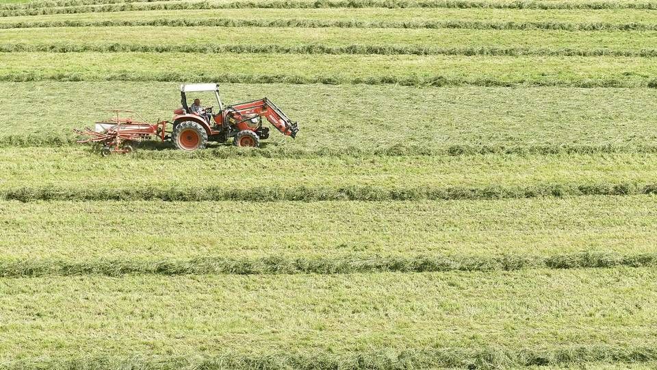 EU-Parlamentet ønsker hyppigere sædskiftepå dyrkede arealer end landmændene vil være med til. Det er en af knasterne, der skal løses, inden en landbrugsreform kan landes fredag. | Foto: Gaizka Iroz/AFP/Ritzau Scanpix