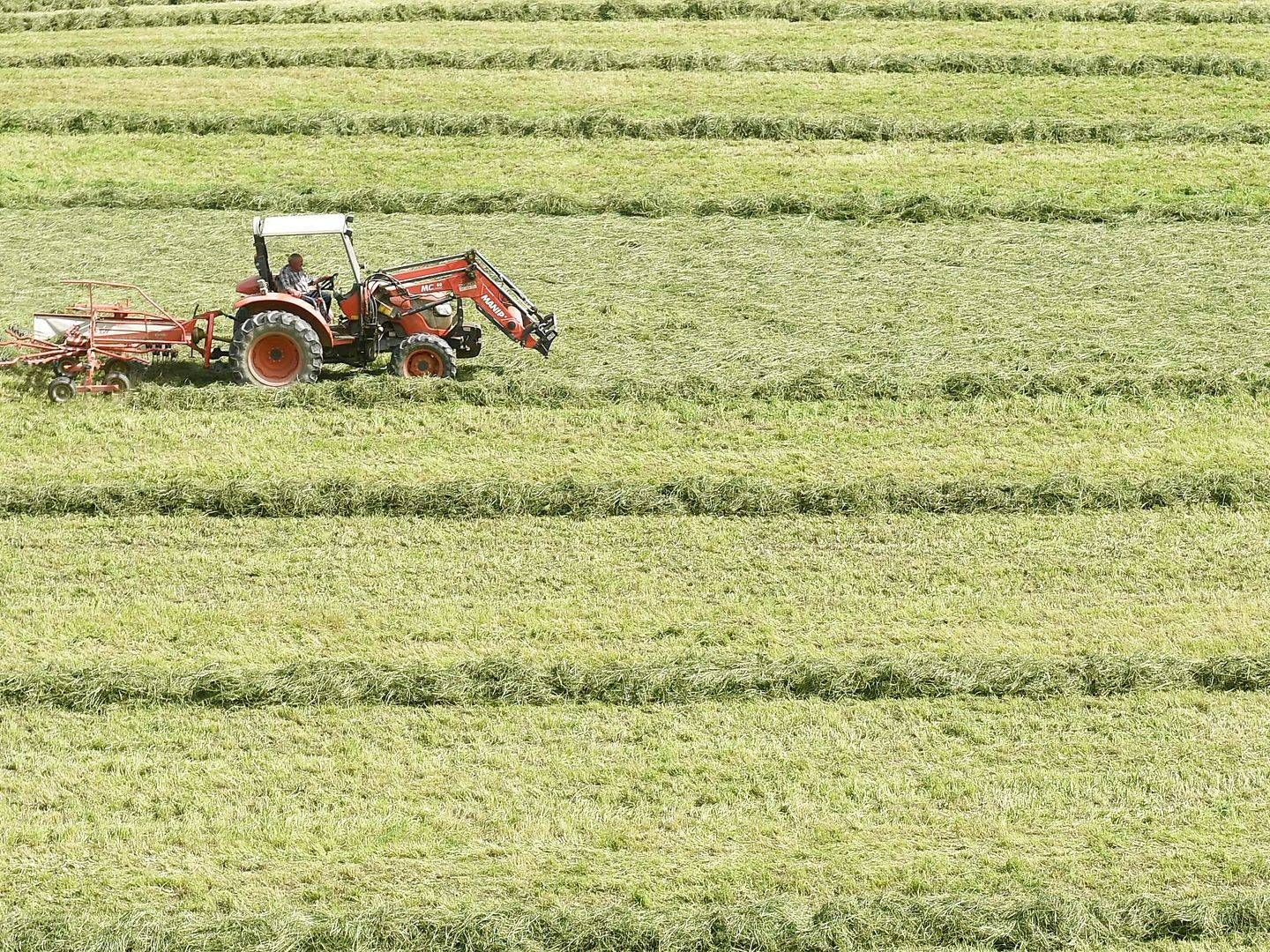 EU-Parlamentet ønsker hyppigere sædskiftepå dyrkede arealer end landmændene vil være med til. Det er en af knasterne, der skal løses, inden en landbrugsreform kan landes fredag. | Foto: Gaizka Iroz/AFP/Ritzau Scanpix