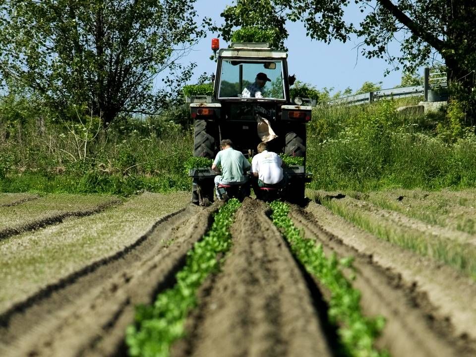 Foto: Martin Lehmann