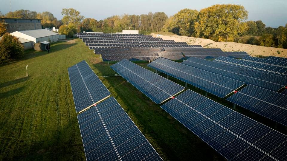 Du har ikke rigtig fat i solceller, siger adm. direktør for Energi Fyn, der mener, at det er problematisk, at panelerne bygges i Østen. | Foto: Jens Dresling/Ritzau Scanpix