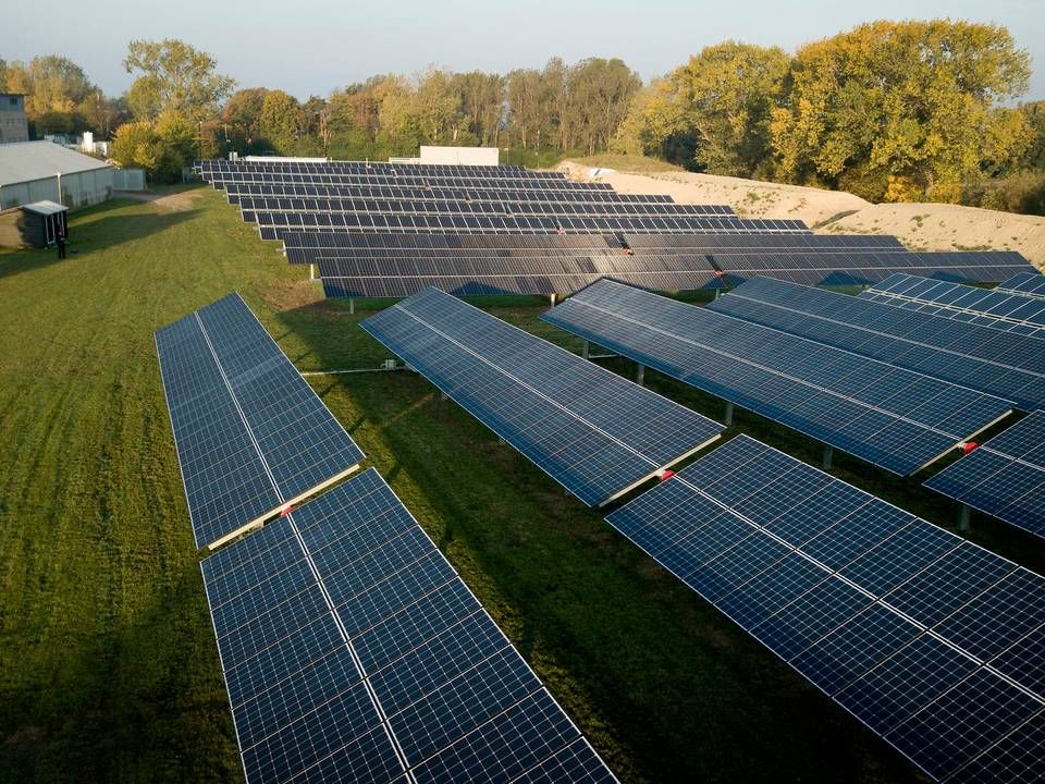 Du har ikke rigtig fat i solceller, siger adm. direktør for Energi Fyn, der mener, at det er problematisk, at panelerne bygges i Østen. | Foto: Jens Dresling/Ritzau Scanpix