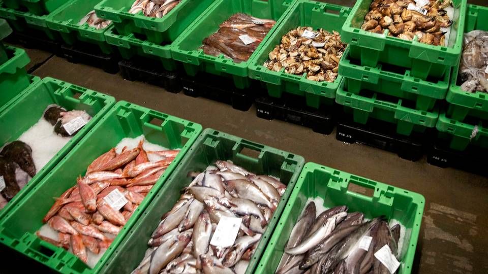 Seafood Danmark rykker rundt på flere ledelsesposter. | Foto: Finn Frandsen/Ritzau Scanpix