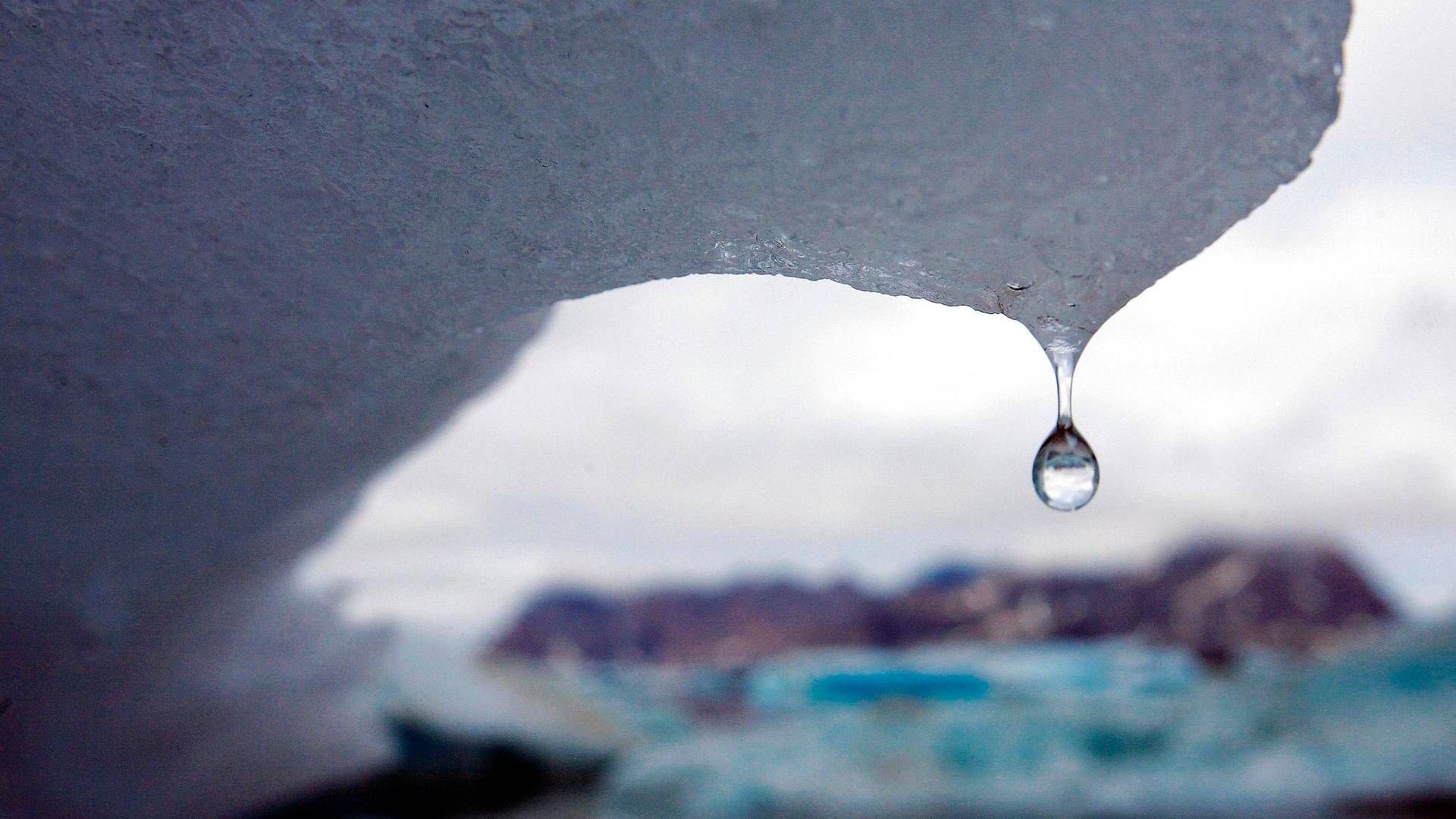 Danske virksomhedsledere forventer, at FNs verdensmål om blandt andte at sikre klimaet vil fylde mere i virksomheden i de kommende år. | Foto: John Mcconnico/AP/Ritzau Scanpix