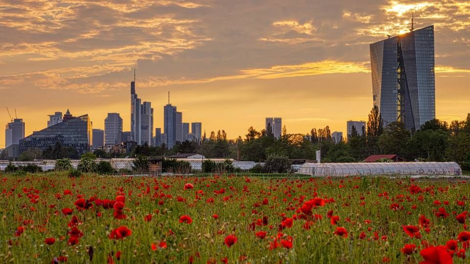 Blick auf die EZB und die Skyline in Frankfurt. | Foto: picture alliance / greatif | Florian Gaul
