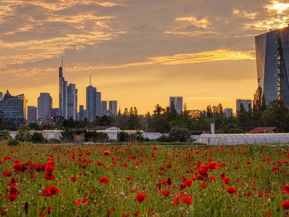 Blick auf die EZB und die Skyline in Frankfurt. | Foto: picture alliance / greatif | Florian Gaul