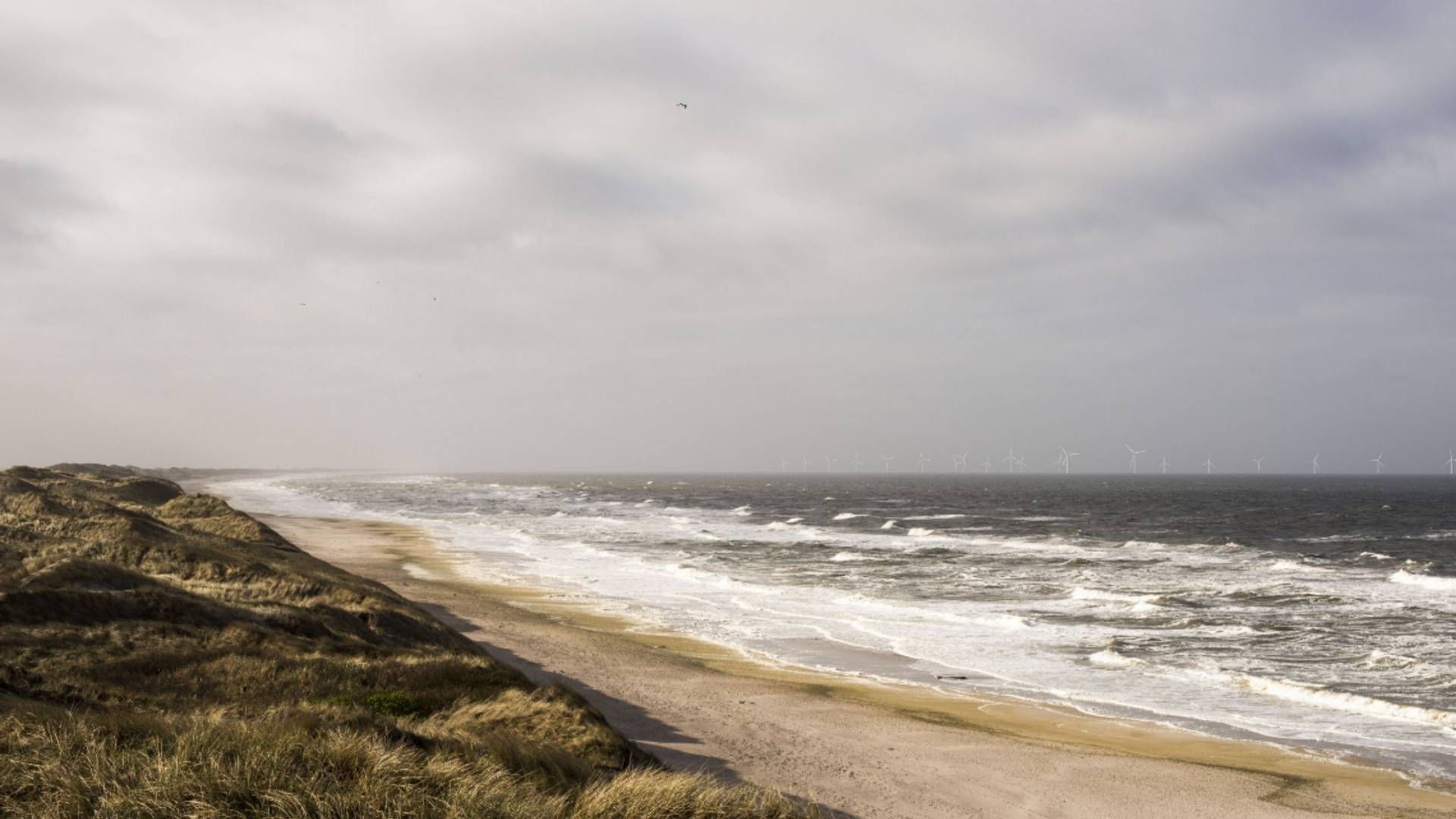 Vattenfall visualisering af Vesterhav Syd. | Foto: Vattenfall