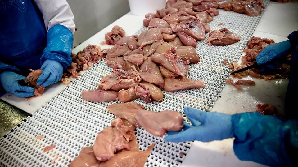 betalingsmiddel TRUE Somatisk celle Dyreorganisation: Danske fastfood-kæder lever ikke op til krav om  dyrevelfærd — FødevareWatch