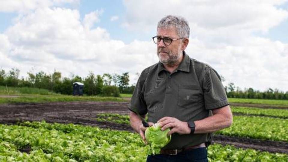 Axel Månsson er landets største producent af økologiske grøntsager og udvider løbende produktionen, mens han på længere sigt venter at indstille produktionen af konventionelt grønt. | Foto: Marie Ravn