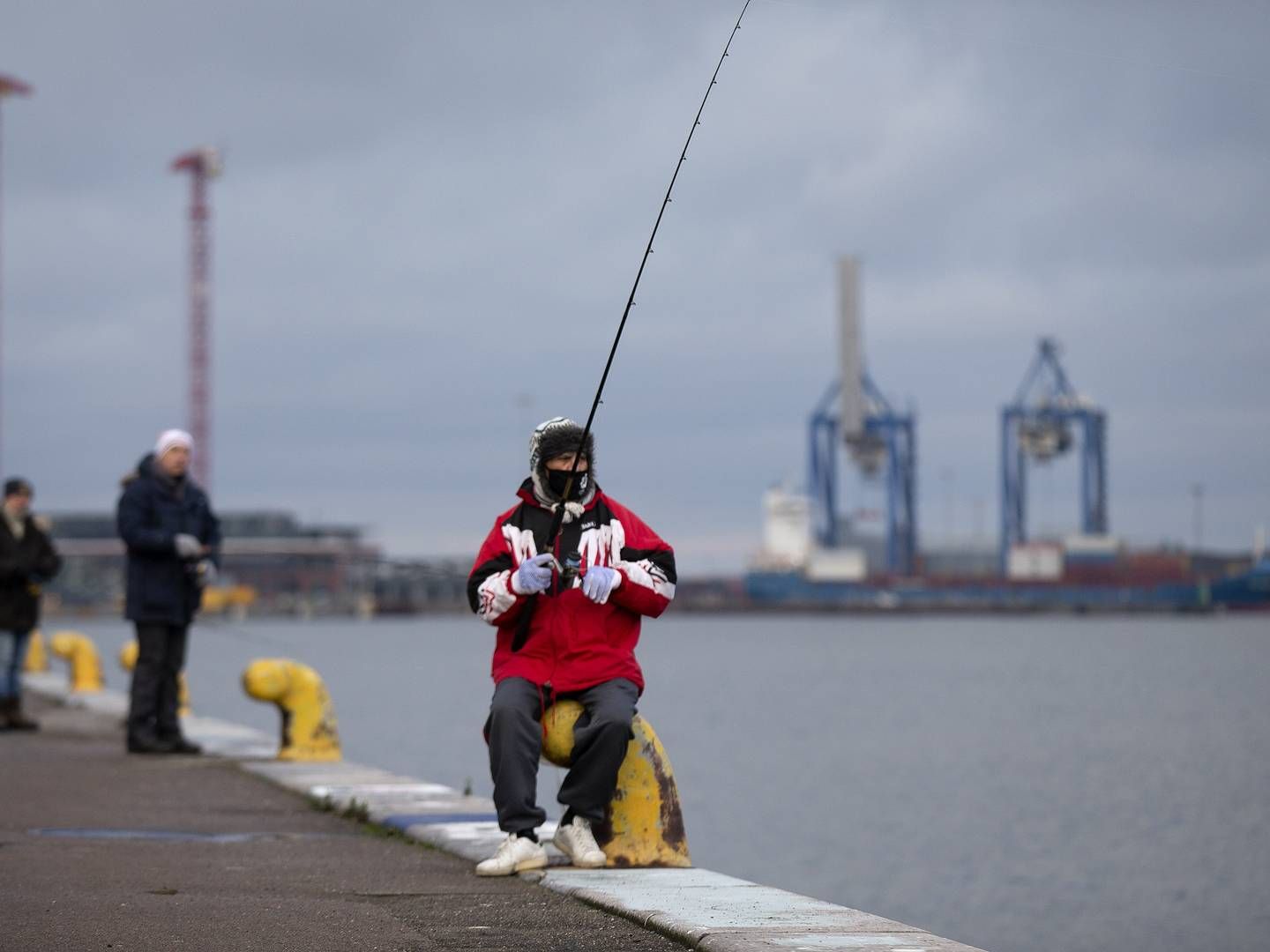 Aarhus Havn vil smide 400.000 kubikmeter jord i havet. | Photo: Finn Frandsen