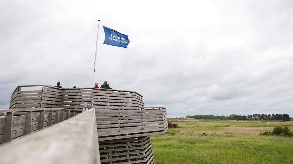 Foto: Daniel Bockwoldt/AP/Ritzau Scanpix