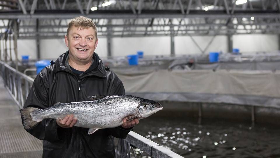 Fiskemester Per Nielsen viser bæredygtigt produceret laks hos Danish Salmon. | Foto: PR/Danish Salmon