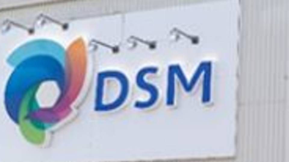 Foto: DSM / PR