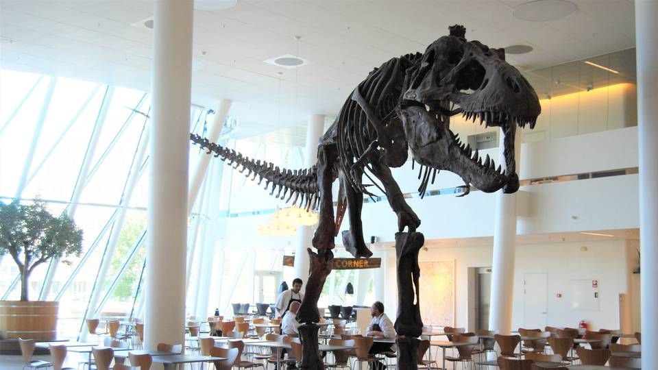 I Saxo Banks kantine finder man en kæmpe replika af en T-Rex. "Mange spørger, om det er fordi, vi vil spise dem? Men nej, det er vores filosofi: Change or become extinct," siger kunstansvarlig Tina Bundgaard. | Foto: Sofie Højlund