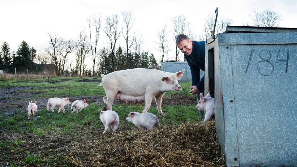 Foto: Rune Aarestrup Pedersen/Ritzau Scanpix