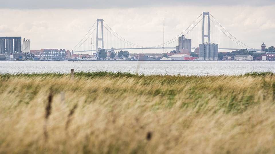 På den forurenede mark uden for Korsør er der fundet massiv forurening med stoffet PFOS. | Foto: Ida Marie Odgaard