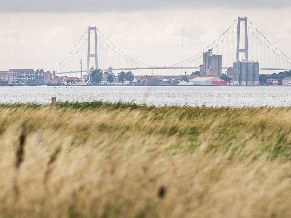 På den forurenede mark uden for Korsør er der fundet massiv forurening med stoffet PFOS. | Foto: Ida Marie Odgaard
