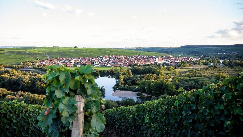 Mainschleife bei Volkach mit Blick auf Nordheim am Main mit den Weinbergen | Foto: picture alliance / Fotostand | Fotostand / K. Schmitt