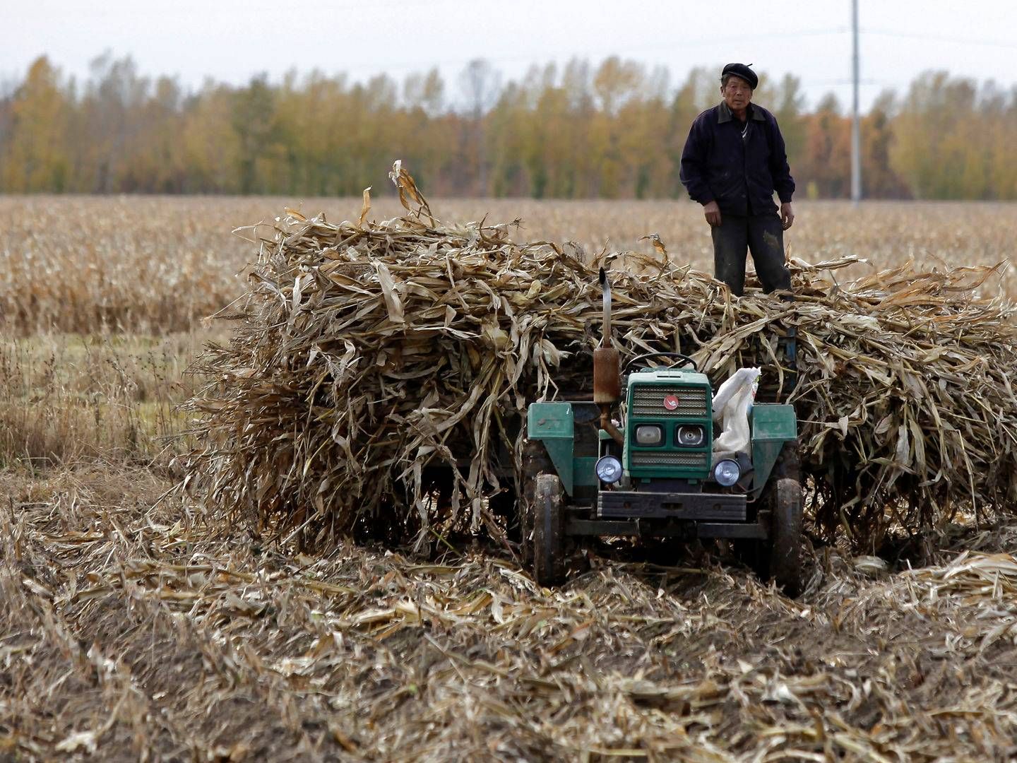 Foto: Staff/Reuters/Ritzau Scanpix