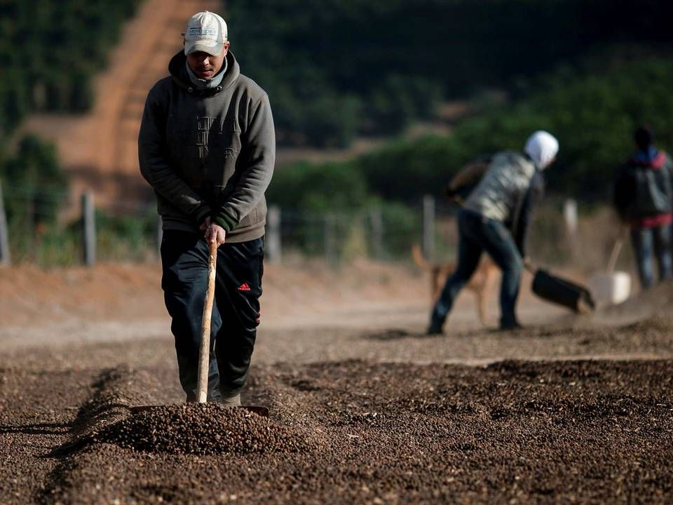 Foto: Roosevelt Cassio/Reuters/Ritzau Scanpix