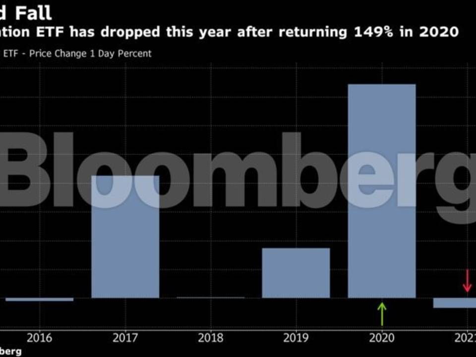 Superstar fund manager Cathie Wood's ARKK is down about 7 percent this year after returning 149 percent in 2020 to rank among the best-performing ETFs in the U.S. and make a star out of Wood. It's set for its first annual loss since 2016. | Photo: Bloomberg