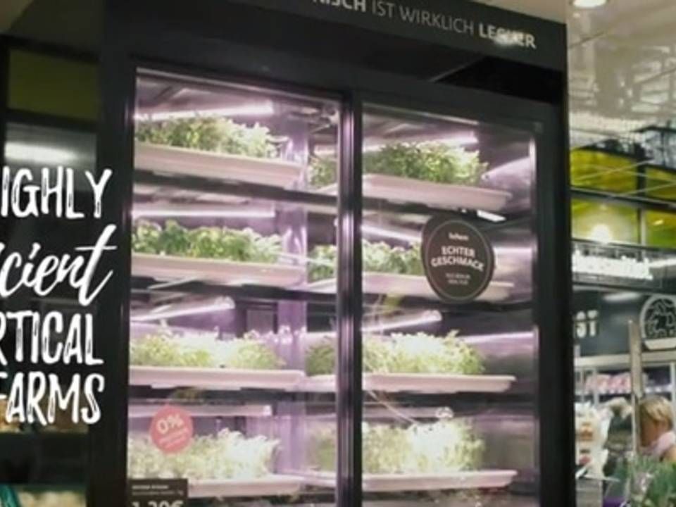 Det er i dag muligt at finde de vertikalt dyrkede salater og urter i Irma. | Foto: Infarm / Youtube