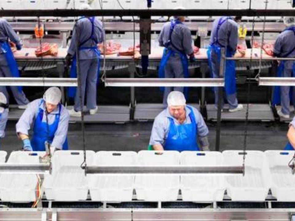 Der er udsigt til ny vækst i Kinas import af svinekød. Det er godt nyt for de danske slagterier og svineproducenter. | Foto: Gregers Tycho