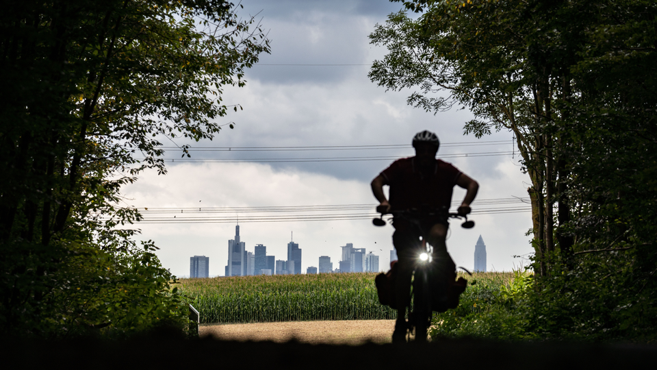 Ein Radfahrer fährt an einem wolkigen Tag auf der Hohen Straße in ein dunkles Waldstück. Im Hintergrund ist die Frankfurter Skyline zu sehen. | Foto: picture alliance/dpa | Frank Rumpenhorst