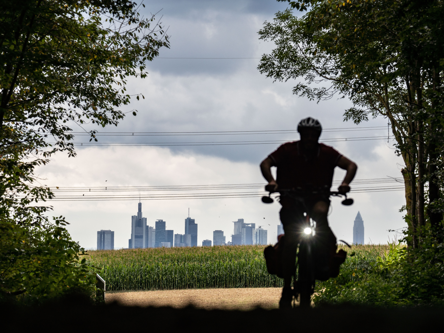 Ein Radfahrer fährt an einem wolkigen Tag auf der Hohen Straße in ein dunkles Waldstück. Im Hintergrund ist die Frankfurter Skyline zu sehen. | Foto: picture alliance/dpa | Frank Rumpenhorst