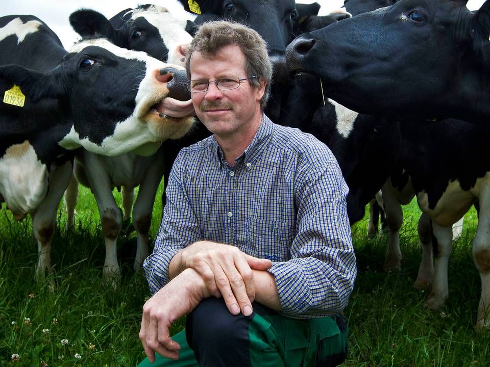 64-årige Evald Vestergaard har drevet sin mælkebedrift med sin hustru Erene Vestergaard siden 1986. | Foto: Jan Dagø/Jyllands-Posten/Ritzau Scanpix