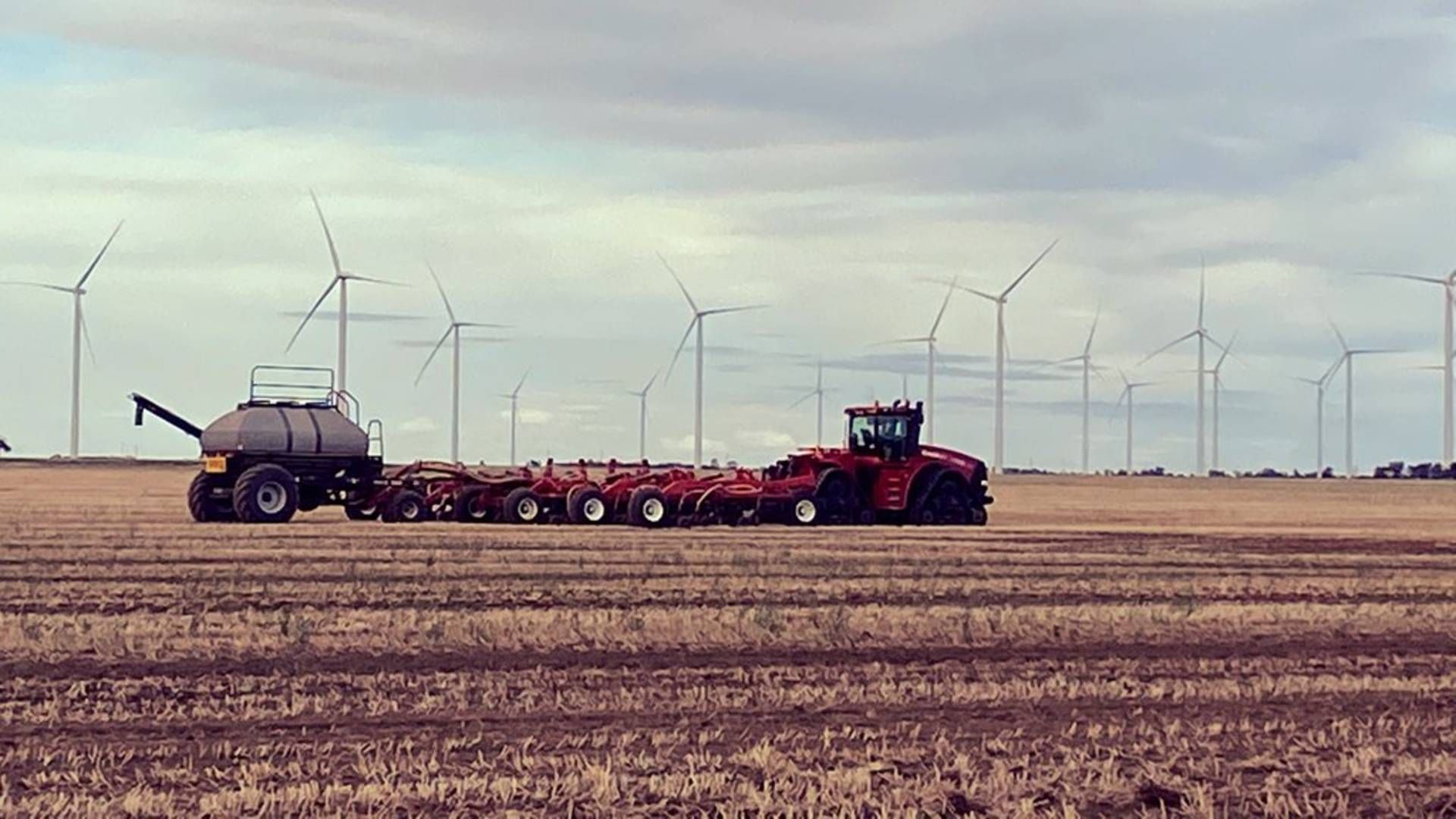 Foto: Murra Warra Wind Farm