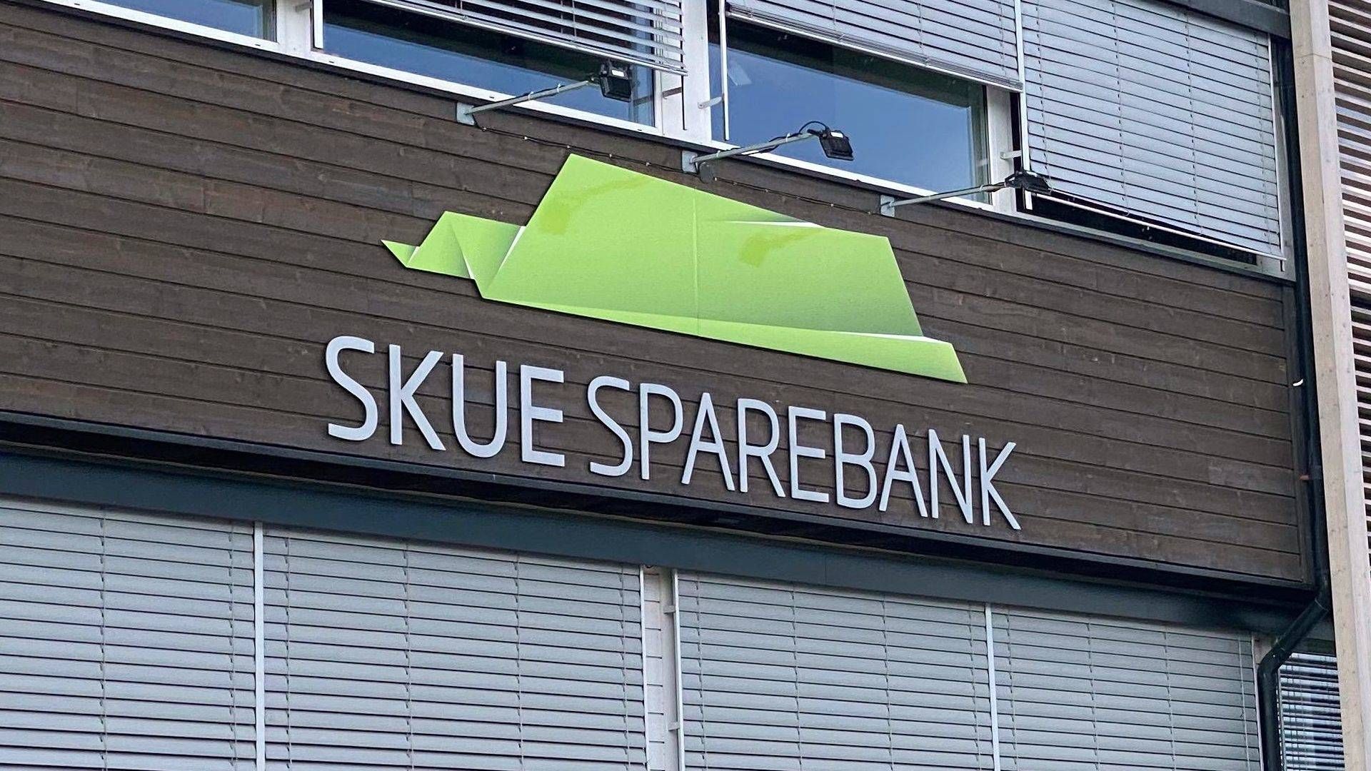 FUSJON: Om planene går i oppfyllelse er det Skue Sparebank som blir overtakende bank. | Foto: Magnus Eidem