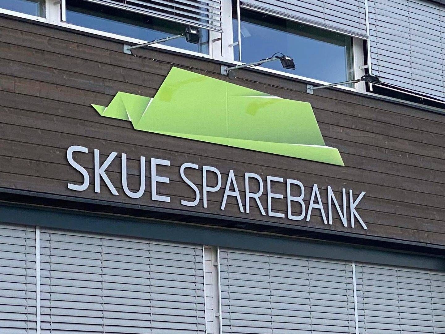 FUSJON: Om planene går i oppfyllelse er det Skue Sparebank som blir overtakende bank. | Foto: Magnus Eidem
