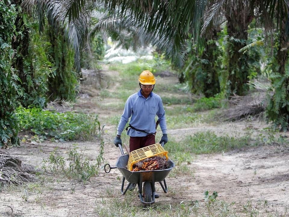 Foto: Lai Seng Sin/Reuters/Ritzau Scanpix