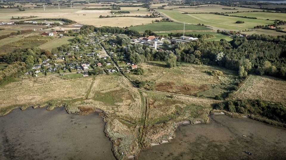 PFOS har især været omtalt i Korsør, hvor borgere har spist kød fra kvæg, der har græsset på et forurenet område. (Arkivfoto) | Foto: Foto: Mads Claus Rasmussen/Ritzau Scanpix