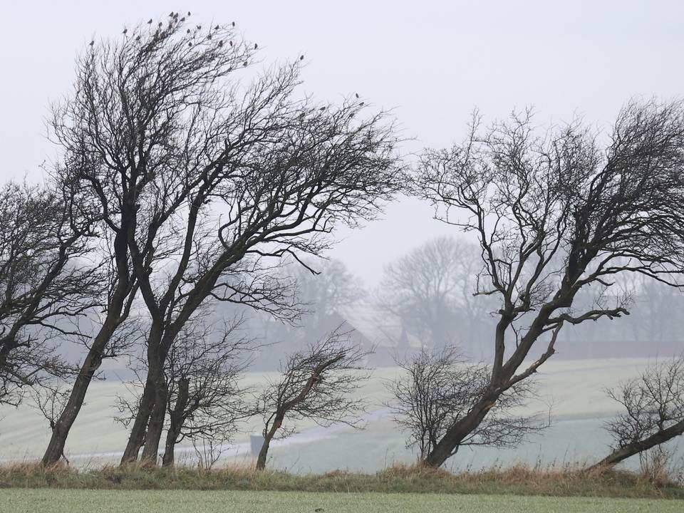 Holstebro ligger i det nordlige Vestjylland. | Foto: Jens Dresling